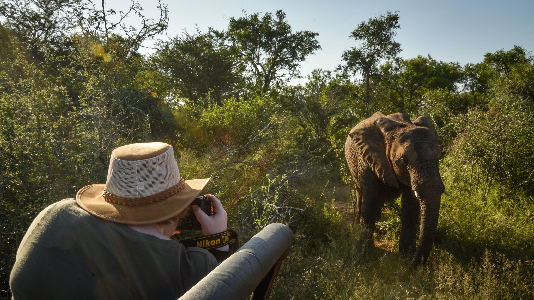 Lion Sands Tinga Lodge Skukuza Exterior foto
